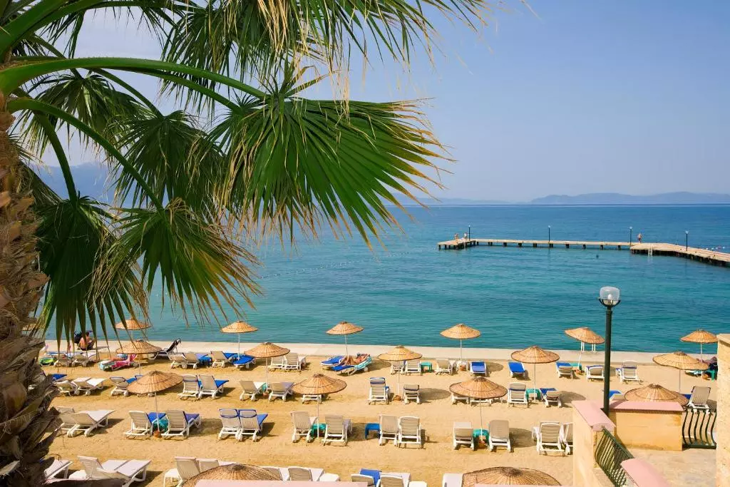 فانتاسیا دلوکس